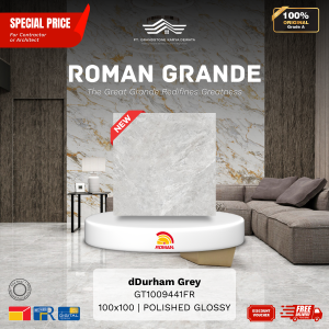 GRANDE AGT1009441FR dDurham Grey 100×100 [GRADE A]