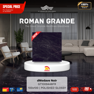 GRANDE AGT1009448FR dModave Noir 100×100 [GRADE A]