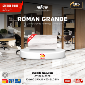 GRANDE AGT1269420FR dSpada Naturale 120×60 [GRADE A]