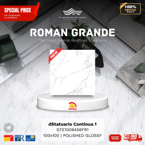 GRANDE AGTE1009456FR1 dStatuario Continua 1 100×100 [GRADE A]