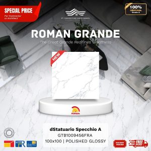 GRANDE AGTB1009456FRA dStatuario Specchio A 100×100 [GRADE A]