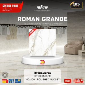 GRANDE AGT1009505FR dVeria Aurea 100×100 [GRADE A]