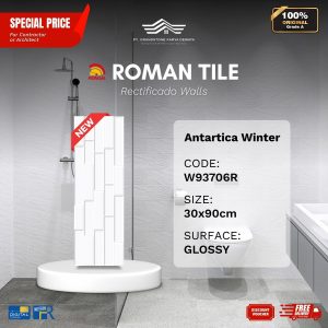 ROMAN RECTIFICADO WALL 1W93706R Antartica Winter 30×90 [GRADE A]