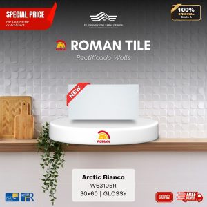 ROMAN RECTIFICADO WALL 1W63105R Arctic Bianco 30×60 [GRADE A]