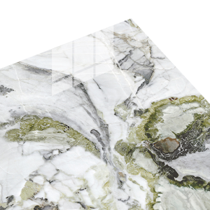 ROMAN GLOSS MOOD AGT609820FR dMarble Tropical 60×60 [GRADE A]