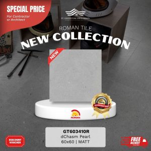 ROMAN STONE MOOD AGT603410R dChasm Pearl 60×60 [GRADE A]