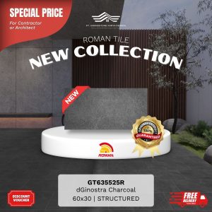 ROMAN STONE MOOD AGT635525R dGinostra Charcoal 60×30 [GRADE A]