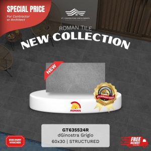 ROMAN STONE MOOD AGT635524R dGinostra Grigio 60×30 [GRADE A]