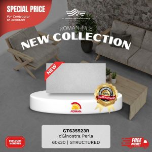 ROMAN STONE MOOD AGT635523R dGinostra Perla 60×30 [GRADE A]