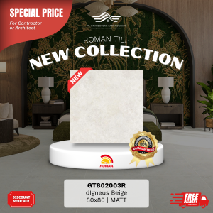 GRANITE XTRA AGT802003R dIgneus Beige 80×80 [GRADE A]