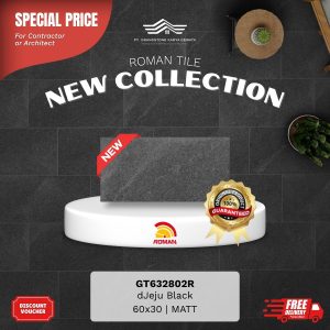 ROMAN STONE MOOD AGT632802R dJeju Black 60×30 [GRADE A]