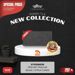ROMAN STONE MOOD AGT635602R dParvati Charcoal 60×30 [GRADE A]