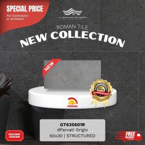 ROMAN STONE MOOD AGT635601R dParvati Grigio 60×30 [GRADE A]