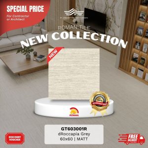 ROMAN STONE MOOD AGT603001R dRoccapia Grey 60×60 [GRADE A]
