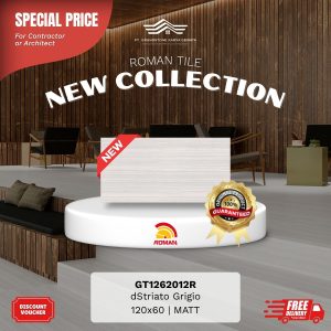 GRANITE XTRA AGT1262012R dStriato Grigio 120×60 [GRADE A]