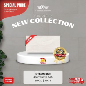 ROMAN STONE MOOD AGT632506R dTerranova Ash 60×30 [GRADE A]