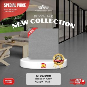 ROMAN STONE MOOD AGT603501R dTucson Grey 60×60 [GRADE A]