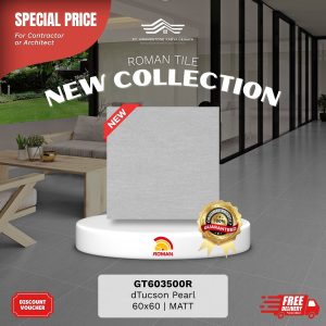 ROMAN STONE MOOD AGT603500R dTucson Pearl 60×60 [GRADE A]