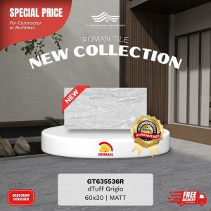 ROMAN STONE MOOD AGT635536R dTuff Grigio 60×30 [GRADE A]