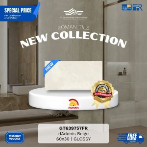 ROMAN GLOSS MOOD AGT639757FR dAdonis Beige 60×30 [GRADE A]