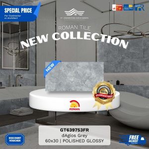 ROMAN GLOSS MOOD AGT639753FR dAgios Grey 60×30 [GRADE A]
