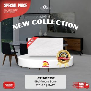 GRANITE XTRA AGT1262023R dBaltimore Bone 120×60 [GRADE A]