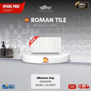 ROMAN RECTIFICADO WALL 1W63837R dBoston Day 30×60 [GRADE A]