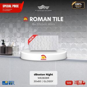 ROMAN RECTIFICADO WALL 1W63838R dBoston Night 30×60 [GRADE A]
