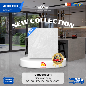 GRANITE XTRA AGT809865FR dCaesar Grey 80×80 [GRADE A]