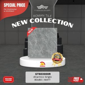 GRANITE XTRA AGT802000R dCarnico Grigio 80×80 [GRADE A]