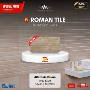 ROMAN RECTIFICADO WALL 1W63829R dCatania Bruno 30×60 [GRADE A]
