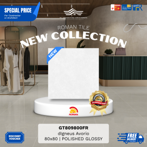 GRANITE XTRA AGT809800FR dIgneus Avorio 80×80 [GRADE A]