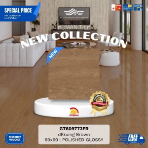 ROMAN GLOSS MOOD AGT609773FR dKruing Brown 60×60 [GRADE A]