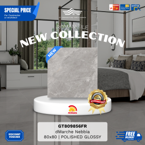 GRANITE XTRA AGT809856FR dMarche Nebbia 80×80 [GRADE A]