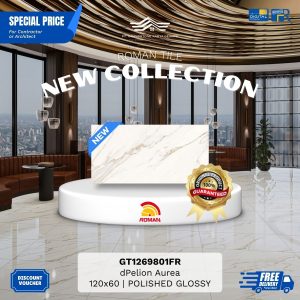 GRANITE XTRA AGT1269801FR dPelion Aurea 120×60 [GRADE A]