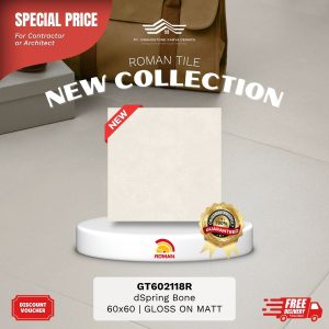 ROMAN STONE MOOD AGT602118R dSpring Bone 60×60 [GRADE A]