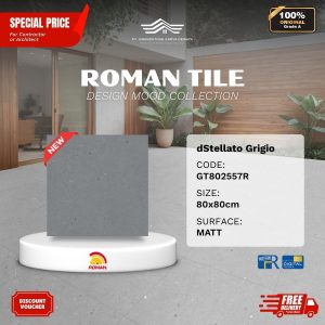 GRANITE XTRA AGT802557R dStellato Grigio 80×80 [GRADE A]