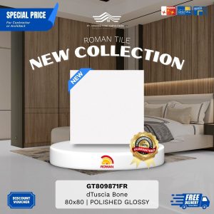 GRANITE XTRA AGT809871FR dTuscia Bone 80×80 [GRADE A]