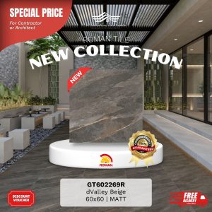 ROMAN STONE MOOD AGT602269R dValley Grey 60×60 [GRADE A]
