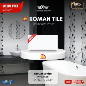 ROMAN RECTIFICADO WALL 1W63203R Stellar White 30×60 [GRADE A]