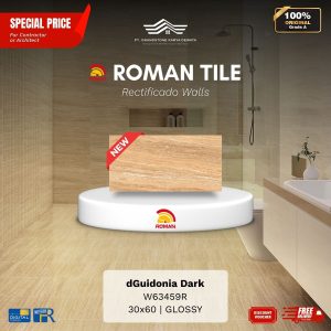 ROMAN RECTIFICADO WALL 1W63459R dGuidonia Dark 30×60 [GRADE A]