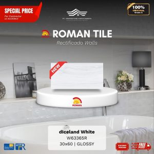 ROMAN RECTIFICADO WALL 1W63365R dIceland White 30×60 [GRADE A]