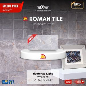 ROMAN RECTIFICADO WALL 1W63322R dLorenzo Light 30×60 [GRADE A]