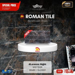 ROMAN RECTIFICADO WALL 1W63762R dLorenzo Night 30×60 [GRADE A]