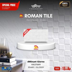 ROMAN RECTIFICADO WALL 1W63766R dMinuet Giorno 30×60 [GRADE A]