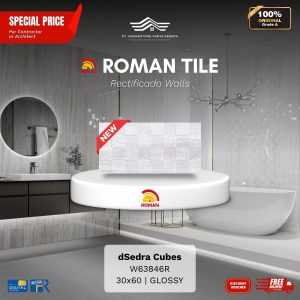 ROMAN RECTIFICADO WALL 1W63846R dSedra Cubes 30×60 [GRADE A]