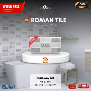 ROMAN RECTIFICADO WALL 1W63739R dSubway Art 30×60 [GRADE A]