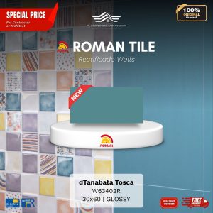 ROMAN RECTIFICADO WALL 1W63402R dTanabata Tosca 30×60 [GRADE A]