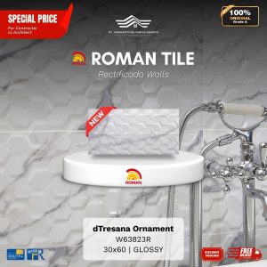 ROMAN RECTIFICADO WALL 1W63823R dTresana Ornament 30×60 [GRADE A]