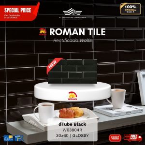 ROMAN RECTIFICADO WALL 1W63804R dTube Black 30×60 [GRADE A]